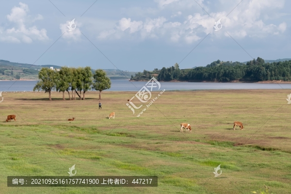會(huì)澤大橋黑頸鶴保護(hù)區(qū)