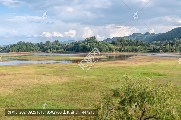 會澤大橋黑頸鶴保護(hù)區(qū)