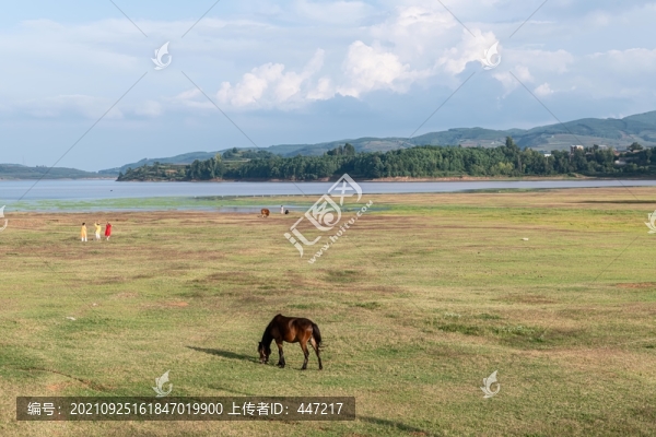 會澤大橋黑頸鶴保護區(qū)