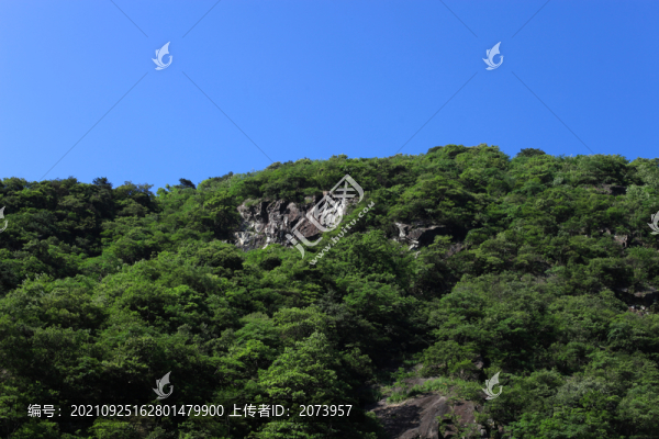 山林
