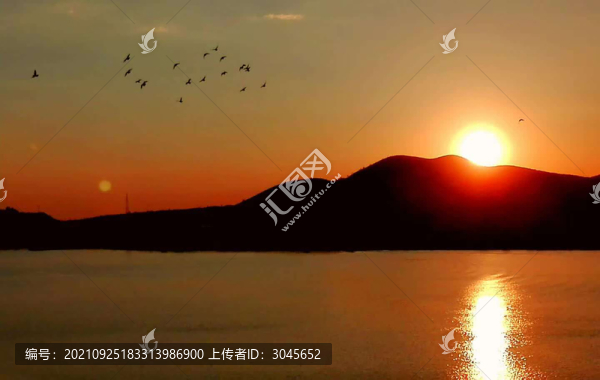 落日歸鳥