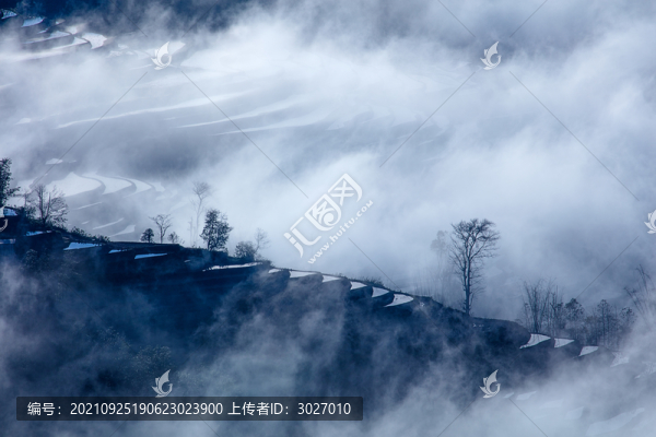元陽梯田