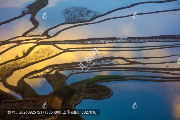 元陽梯田