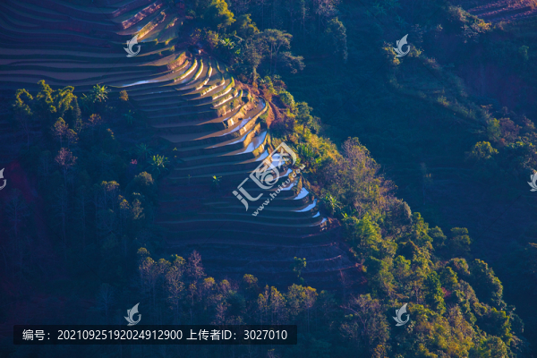 元陽梯田