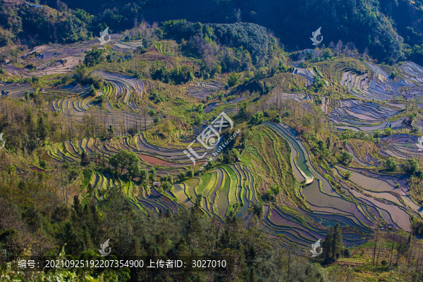 元陽(yáng)梯田