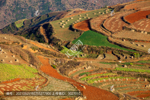 東川紅土地
