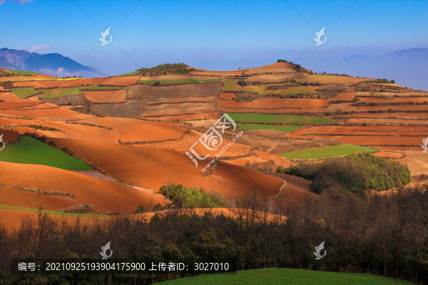東川紅土地七彩坡
