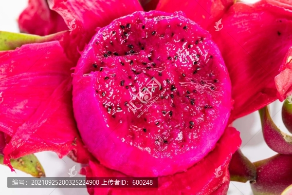火龍果