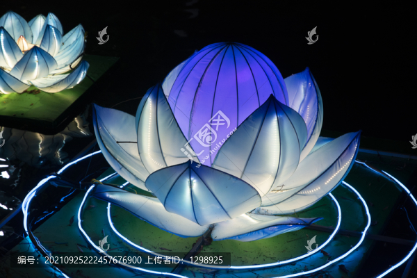 蓮花彩燈