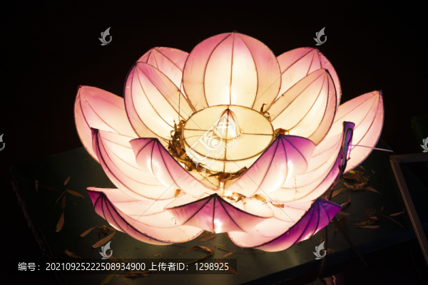 蓮花彩燈