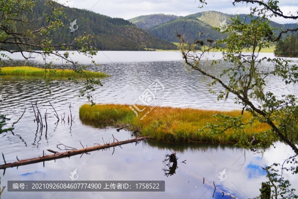 香格里拉普達(dá)措國(guó)家森林公園