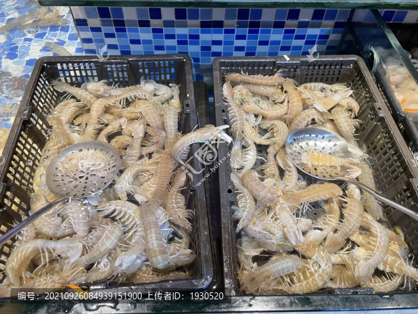 蝦菇