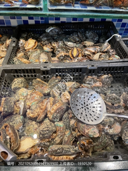 鮑魚