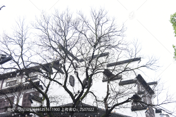 江蘇省南京市秦淮河夫子廟風(fēng)光