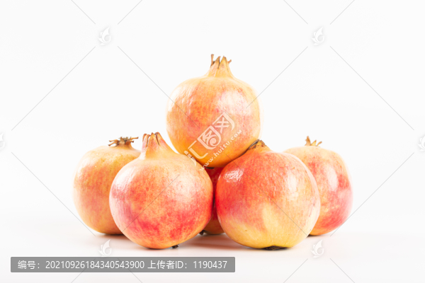 軟籽石榴