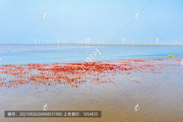 海邊風車濕地