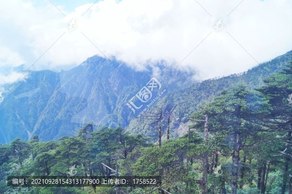 云霧繚繞高山