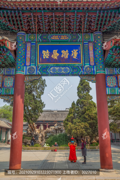 古蓮花池