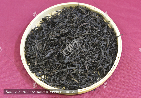 云南百年古茶樹
