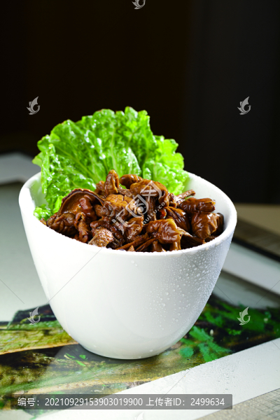 生態(tài)菌菇