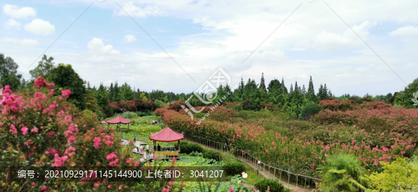 成都溫江紫薇公園