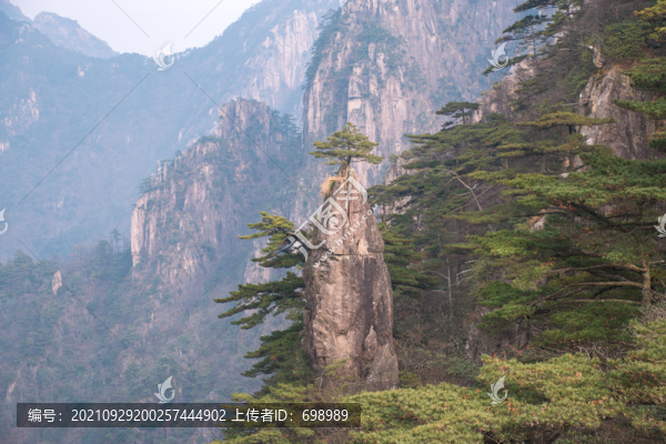 安徽黃山奇松怪石云海
