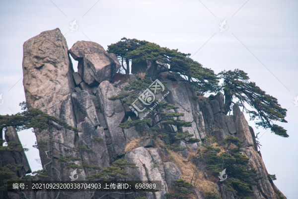 安徽黃山奇松怪石云海