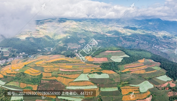 東川紅土地