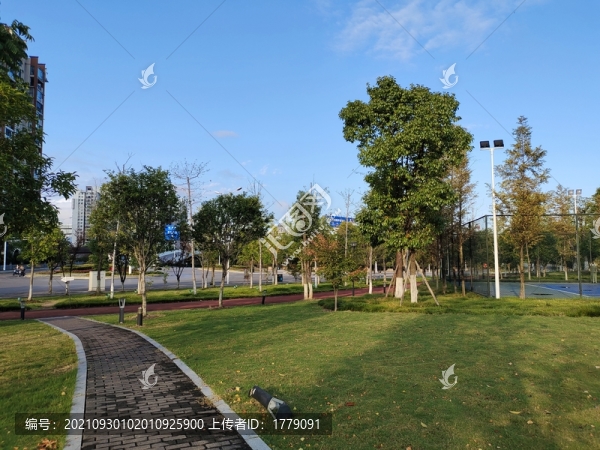 健康步道