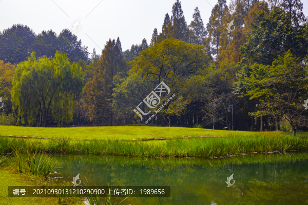 秋天陽光草坪