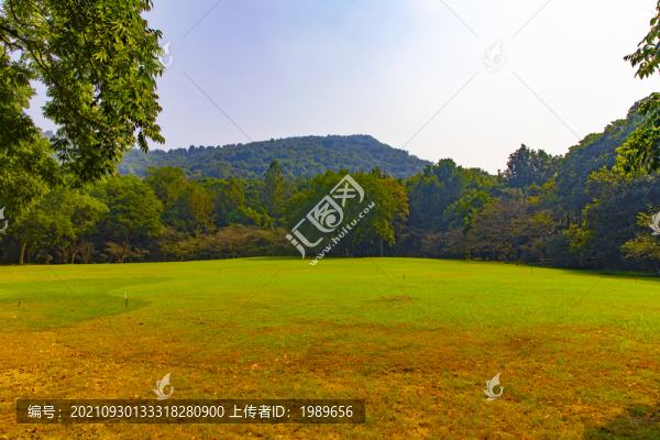 秋意草地樹林