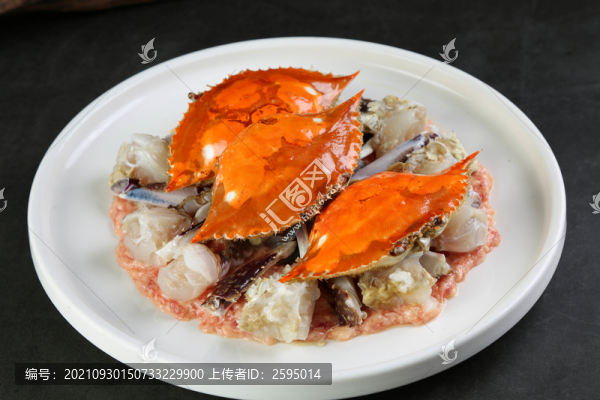 手打肉餅梭子蟹