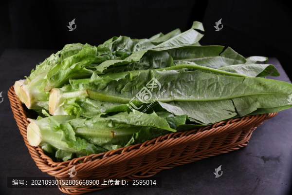 油麥菜