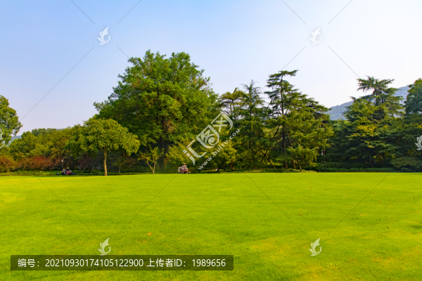 陽(yáng)光草坪