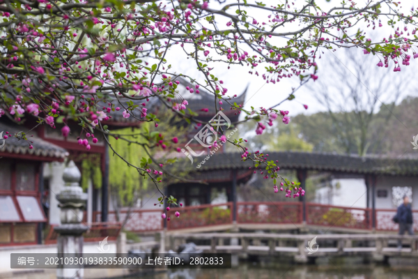 蘇州園林同里古鎮(zhèn)煙花三月
