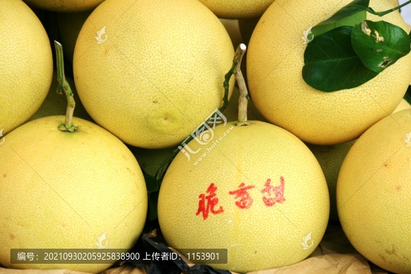 柚子