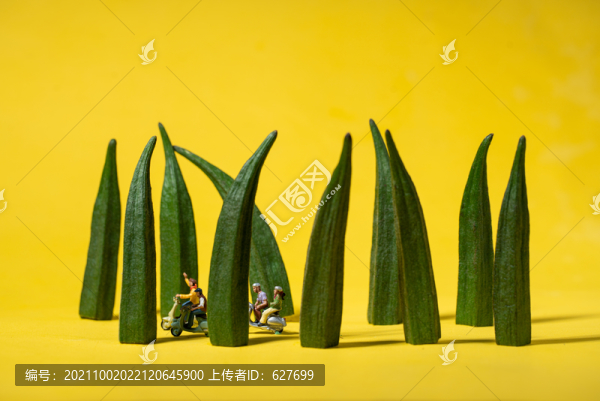 秋葵