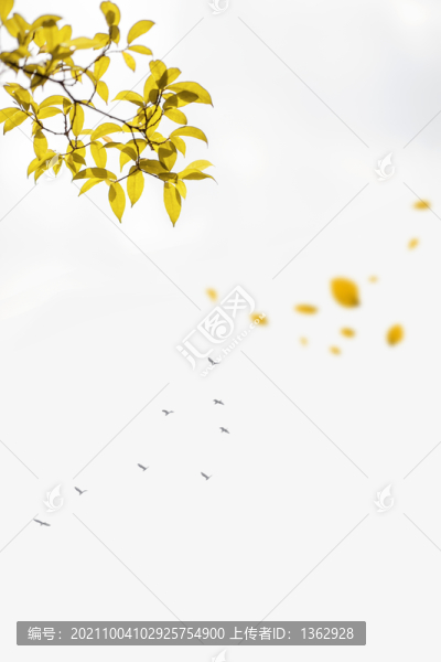 秋意