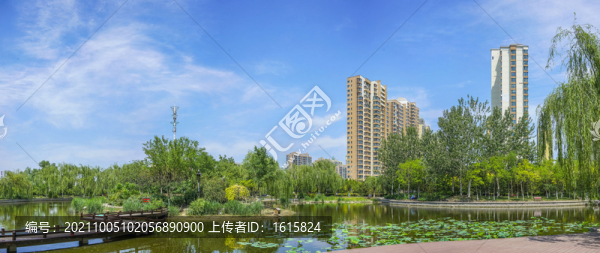 天津城市綠化全景寬幅