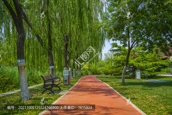 公園健身步道高清大圖