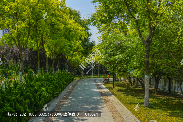 公園小路高清大圖