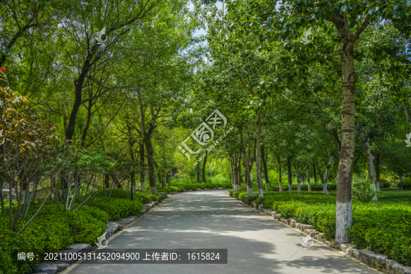 寧園林蔭小路