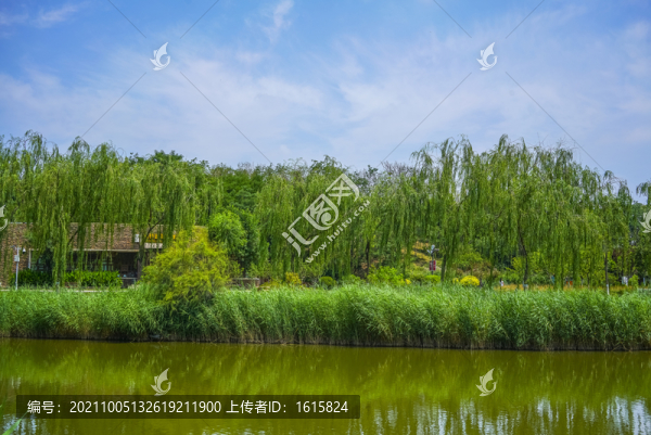 天津河岸景觀