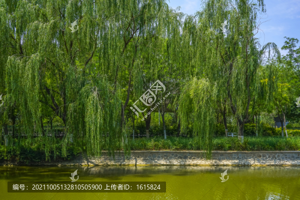 天津河岸景觀(guān)