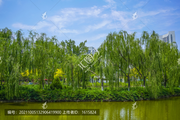 天津河岸景觀