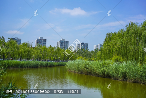 天津河道景觀