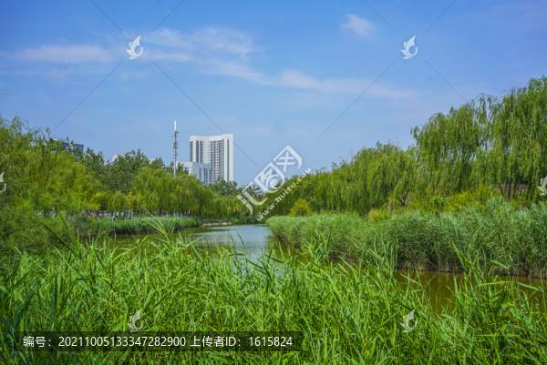 天津河道景觀