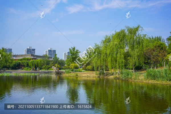 天津南翠屏公園水景
