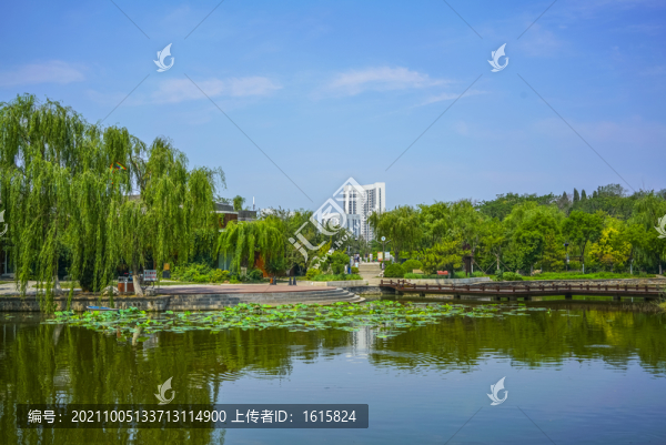 天津南翠屏公園水景