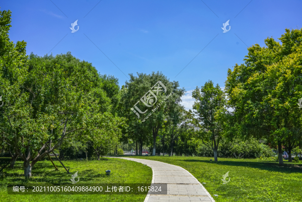 樹林小路高清大圖